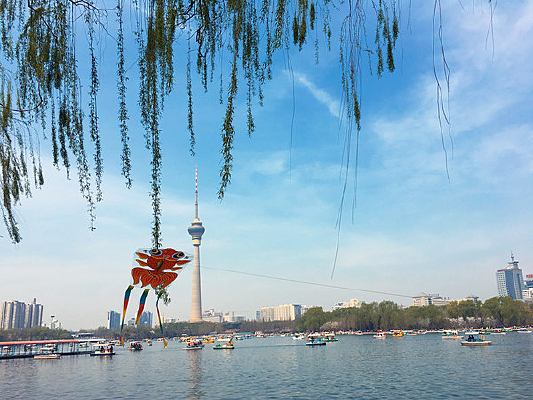 ���ⰻȻ�����й�԰