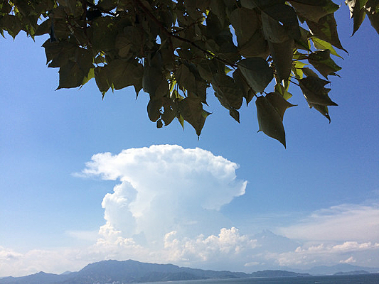 �������Ʋ�