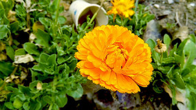 һ�京�����ŵ����پ�