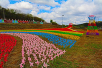 ����ɫ����糵