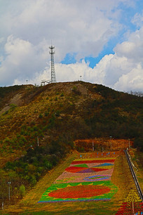 ����ף��