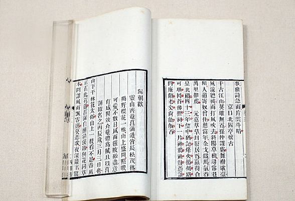 �������̾�