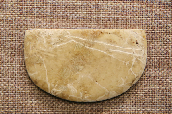 ����Ļ�����D����