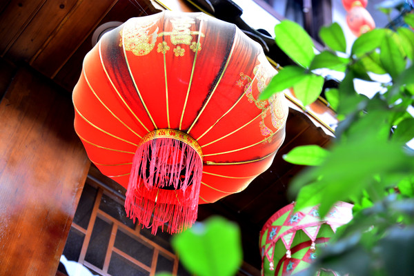 �������ҵĺ����