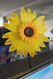 ���տ��糵