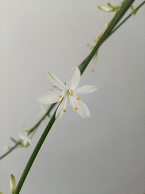 һ�������ͼƬ