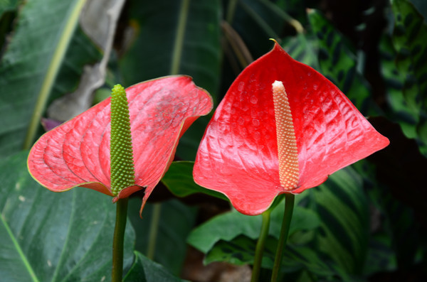 һ����˳��