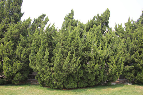 ���̵�������