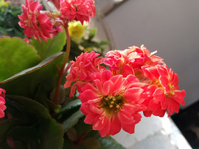 ��ɫ�ĳ��ٻ�