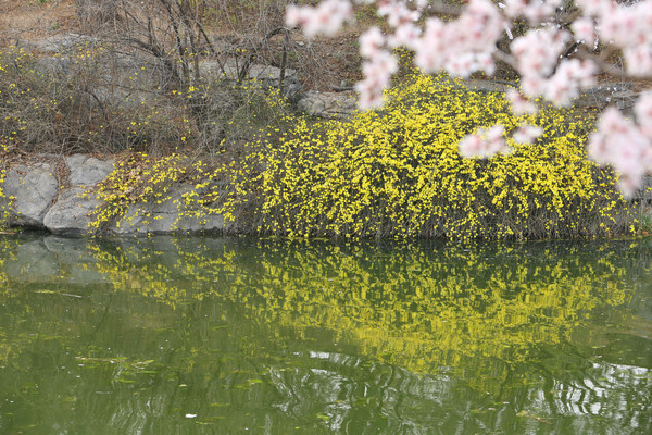 ˮ���ߵ�ӭ��������