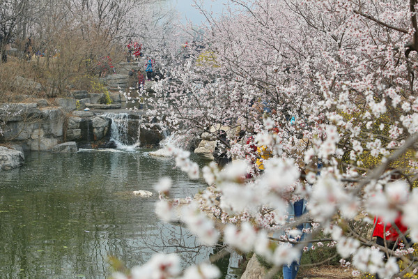 ˮ�������ŵĵ�ӣ������