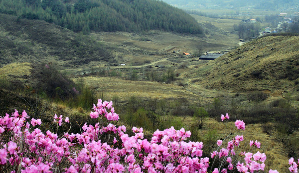 ��������ɽ��