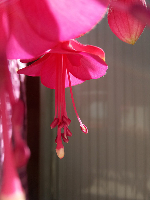 ���ҽ��ӻ���ͼƬ