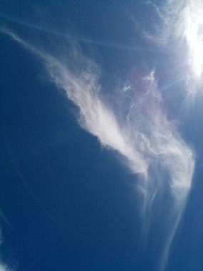 ��������ͼƬ