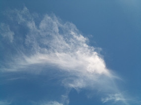 ɢ������ͼƬ