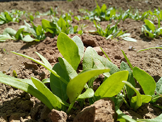 �����µĲ���ͼƬ