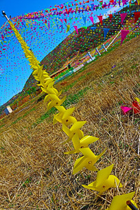 һ����ɫ�糵