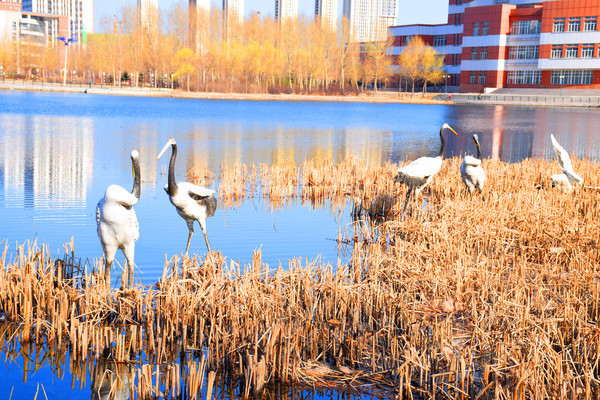 �����Ĵ����˹���