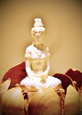 �����մɹ���