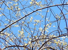 �����µ����