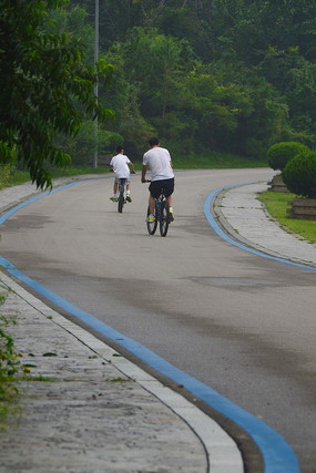 �̵�����