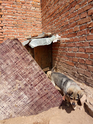 �߹�����С��