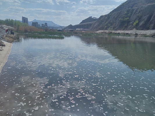 �Ӱ�����