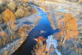 ����ɭ��СϪ 