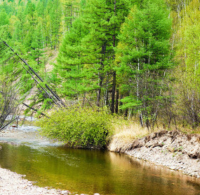 ���ֺ���