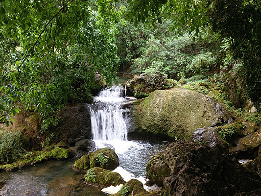 Ͽ������ٲ�