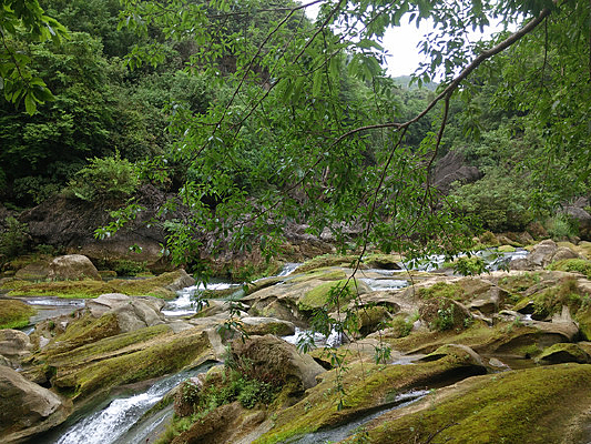 Ͽ������ٲ�Ⱥ