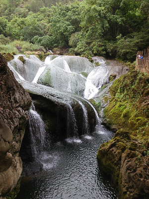 Ͽ������ٲ�Ⱥ