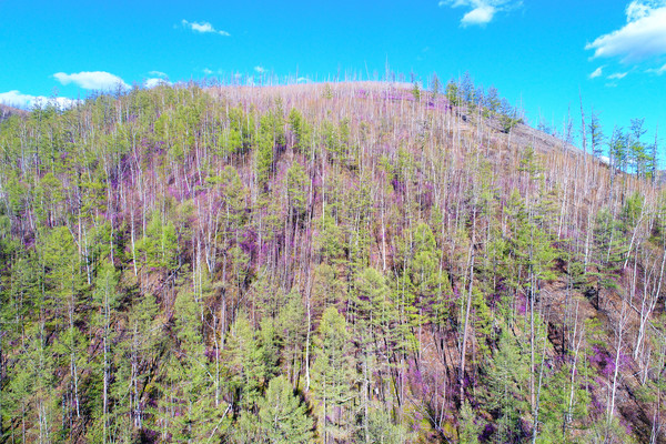 �紺���ַ羰