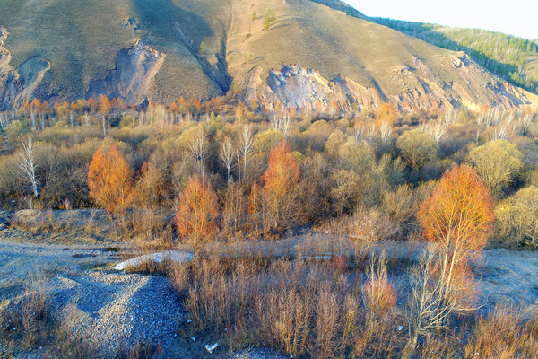 �紺���ַ羰 