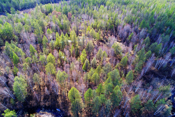 �紺���ַ羰 ���� 