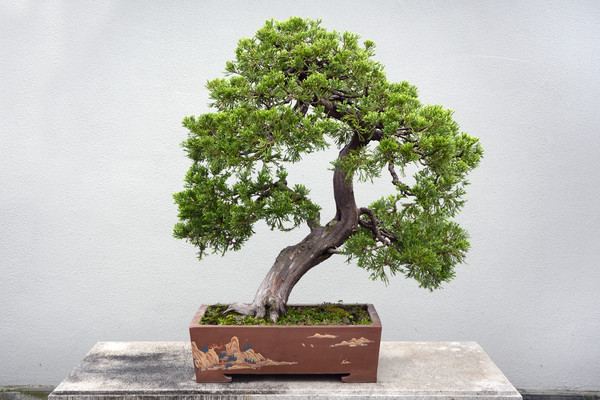 ��������辰