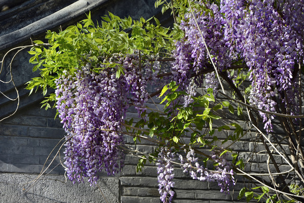 �����ܻ�