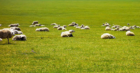 ��Ϣ����Ⱥ