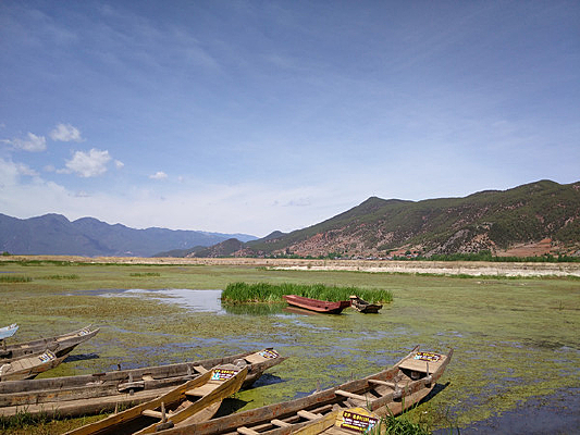 �ݺ����ľ��