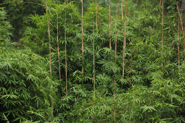 �д������