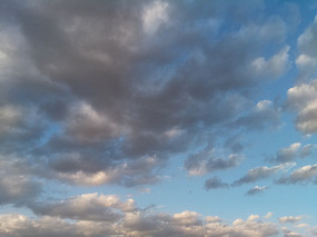 �����е��ƶ�