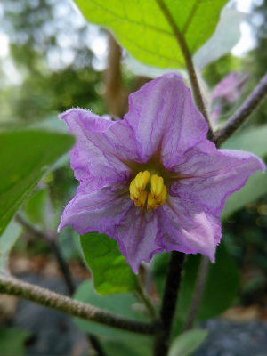 ���ӵ���