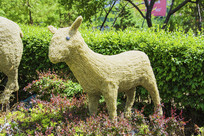 һֻС��������