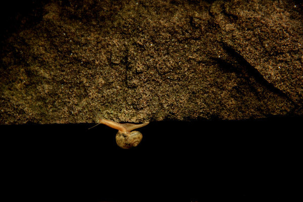 �����е���ţ