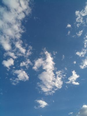 ��Ȧ����ͼƬ