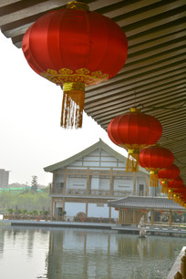 ��ͤ����