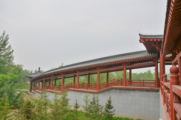 ���������ͤ