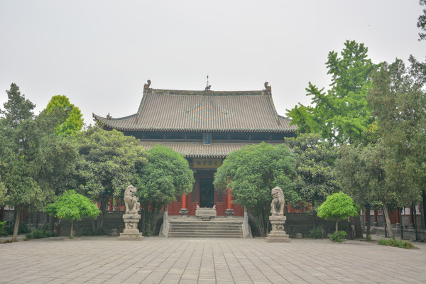 ������Ժ����