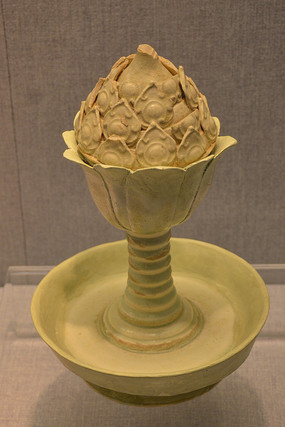 ������������޹