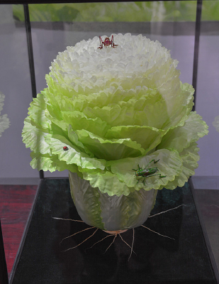 ��ͳ������֯�ײ�